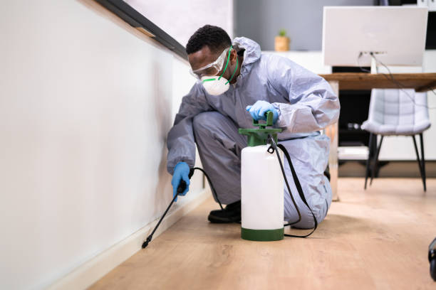 Best Real Estate Pest Inspections  in Fort Belvoir, VA